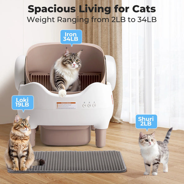 Smart Cat Litter Box Solution Royal tushar